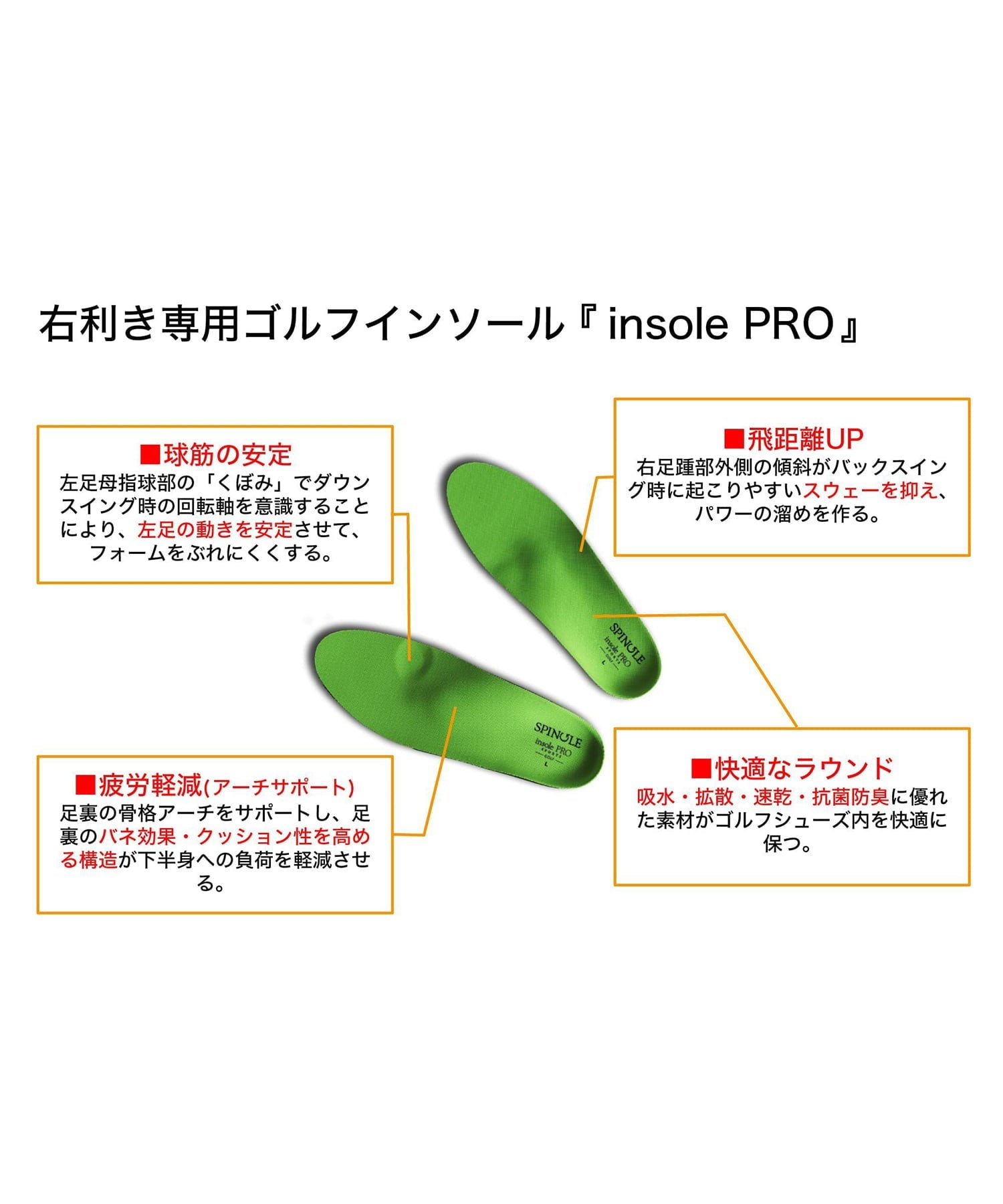 SP-1651 White/Black - SPINGLE